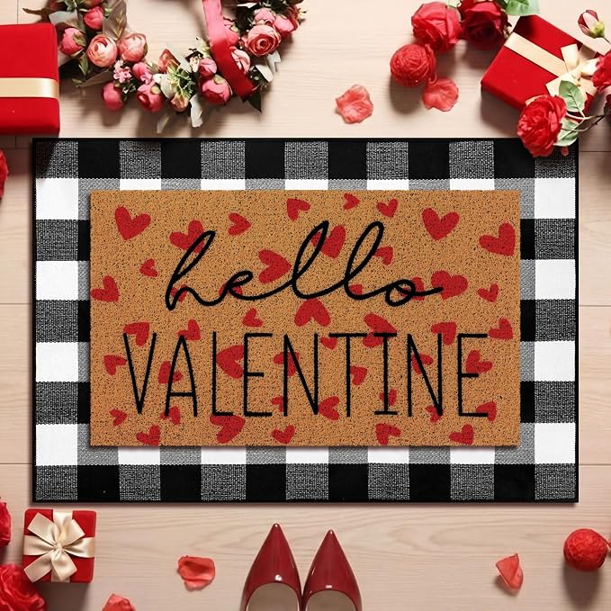 Tinideya 2 Pcs Valentine Door Mat Hello February 14th Welcome Non Slip Coir by Tinideya