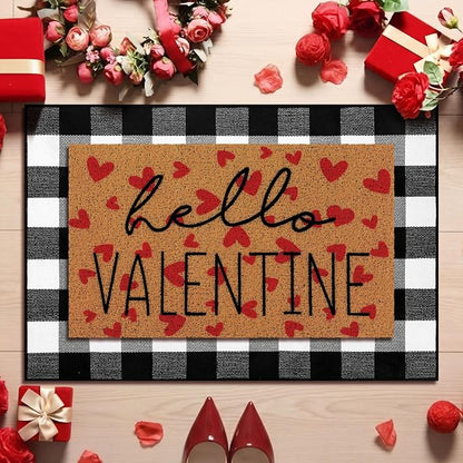 Tinideya 2 Pcs Valentine Door Mat Hello February 14th Welcome Non Slip Coir by Tinideya