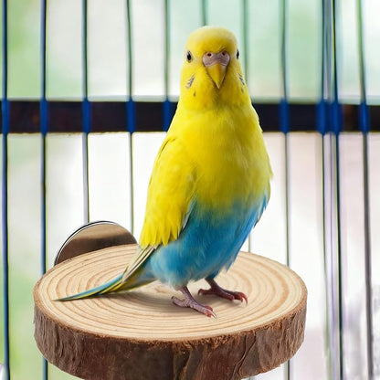 Wood Bird Perch Stand for Cage, Natural Round Wooden Parrot Platform Bird Perch - Image 4