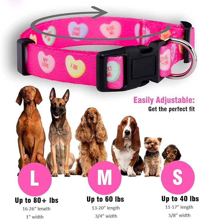 Native Pup Valentine’s Dog Collar- Valentines Day Pet Collars- Valentine Girly - Image 3