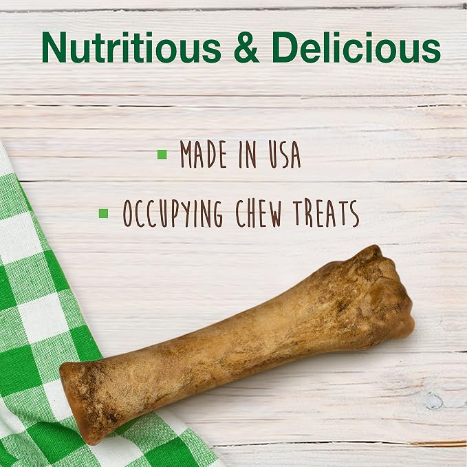 Nylabone Healthy Edibles Natural Dog Chews, Long Lasting Bones - Image 3