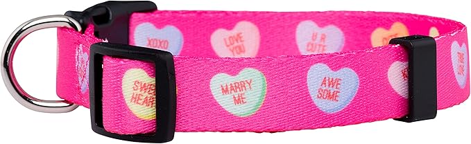 Native Pup Valentine’s Dog Collar- Valentines Day Pet Collars- Valentine Girly - Image 2
