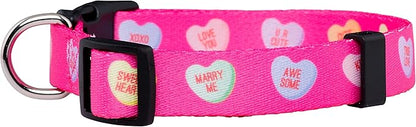 Native Pup Valentine’s Dog Collar- Valentines Day Pet Collars- Valentine Girly - Image 2