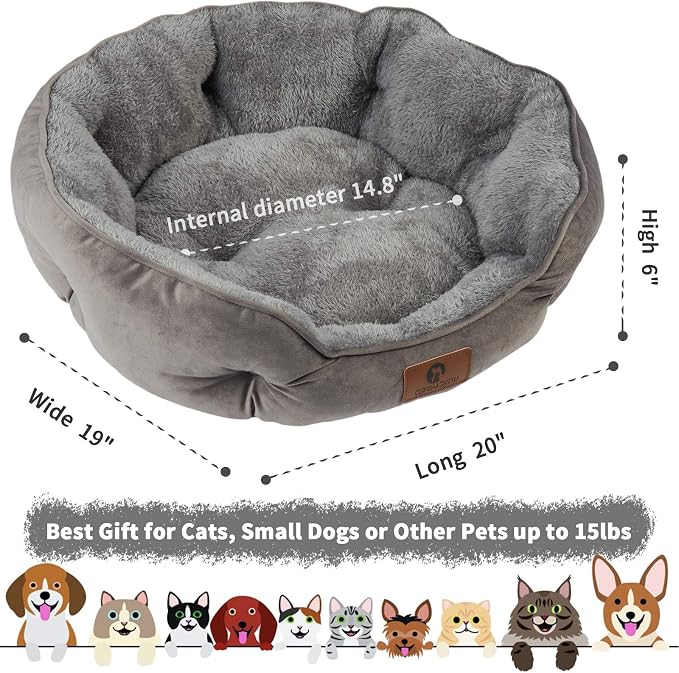 Asvin Small Dog Bed for Small Dogs, Cat Beds for Indoor Cats, Pet Bed for Puppy - Image 3