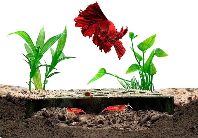 Shrimp Breeding Protector | Shrimp Breeding Cave Aquarium Tunnel | CTWPets by CTWPets