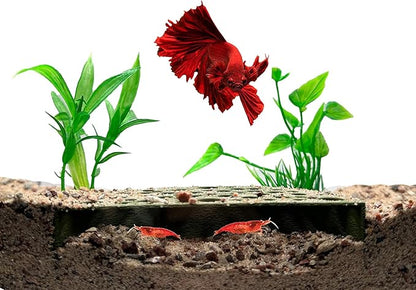 Shrimp Breeding Protector | Shrimp Breeding Cave Aquarium Tunnel | CTWPets by CTWPets
