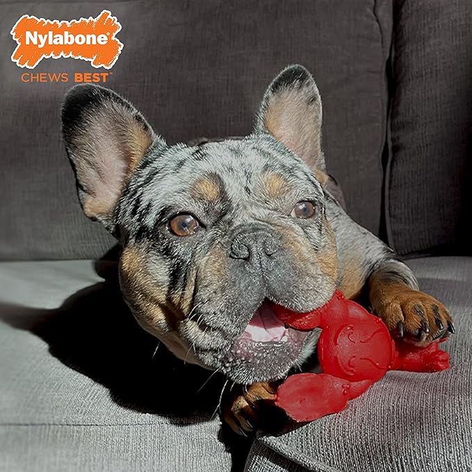 Nylabone Lobster Power Chew Toy - Image 3