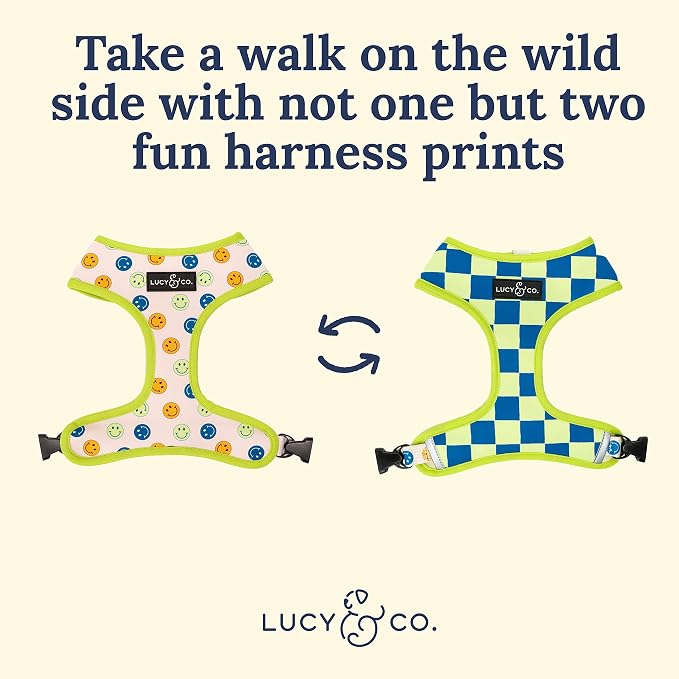 Lucy & Co. Lime Green with Blue Checker Smiley Faces, Cute Reversible Dog - Image 3