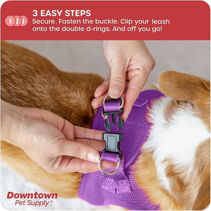 Downtown Pet Supply Step-in Dog Harness – No Pull, Adjustable Padded Mesh - Image 5