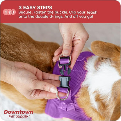 Downtown Pet Supply Step-in Dog Harness – No Pull, Adjustable Padded Mesh - Image 5
