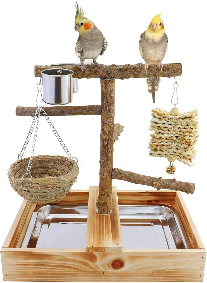Mogoko Natural Bird Perches Playground, Cage Accessories, Toys Playground - Image 8