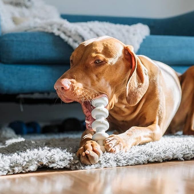 Spunky Pup Clean Earth Recycled Stick | Made in USA | Made from 100% Recycled - Image 7