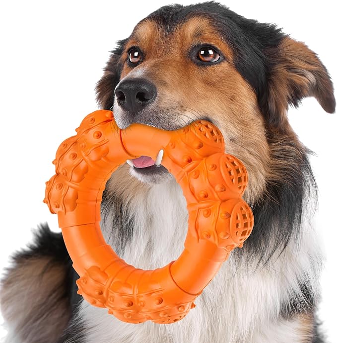 Indestructible Dog Chew Ring Toys by DAOZIJI