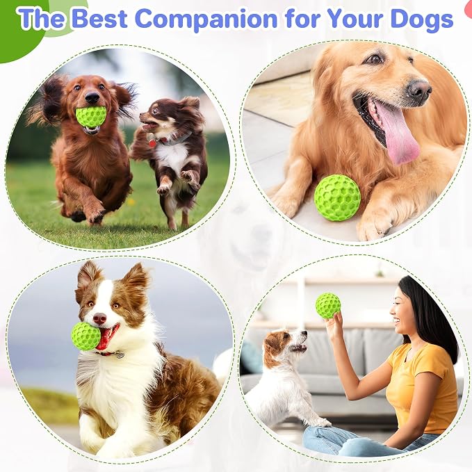 Interactive Squeaky Dog Balls Puppy Toys, Dog Toys - Image 5