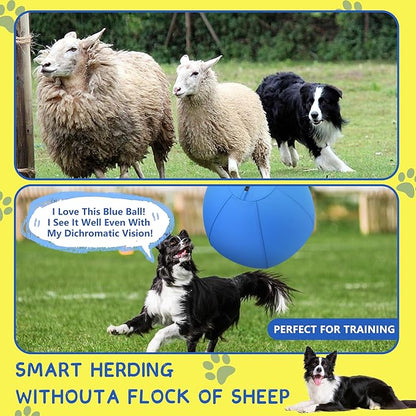 Herding Ball for Dogs and Horses - Image 3