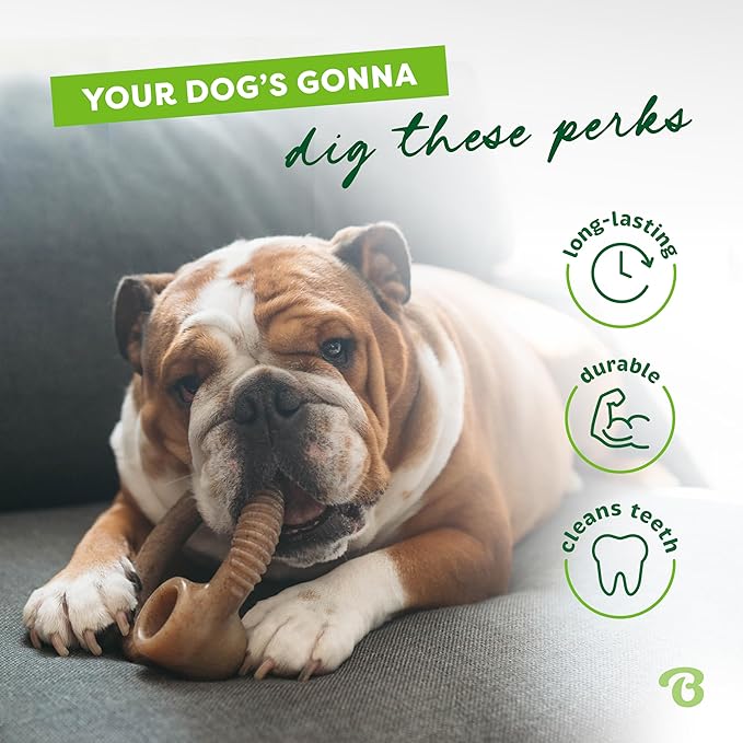 Benebone Ring Durable Dog Chew Toy - Image 3