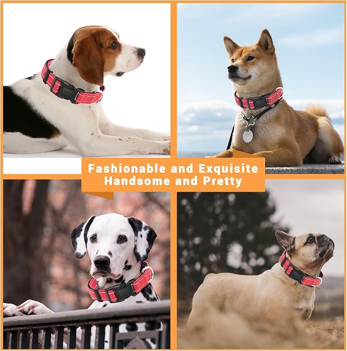 2 Pack Reflective Dog Collar - Image 5