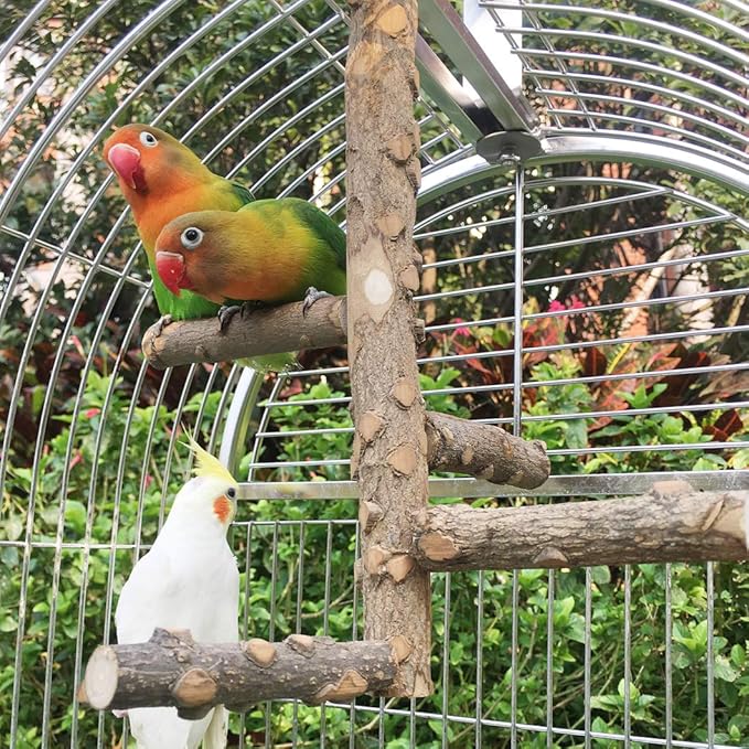 Bird Perch Nature Wood Stand for 3-4pcs Small Medium Parrots - Image 5