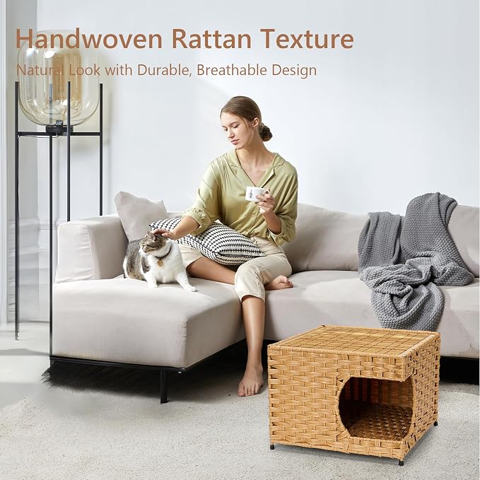 Cat House for Indoor Cats - Image 6