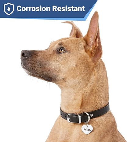 GoTags Stainless Steel Pet ID Tags, Personalized Dog Tags and Cat Tags - Image 4