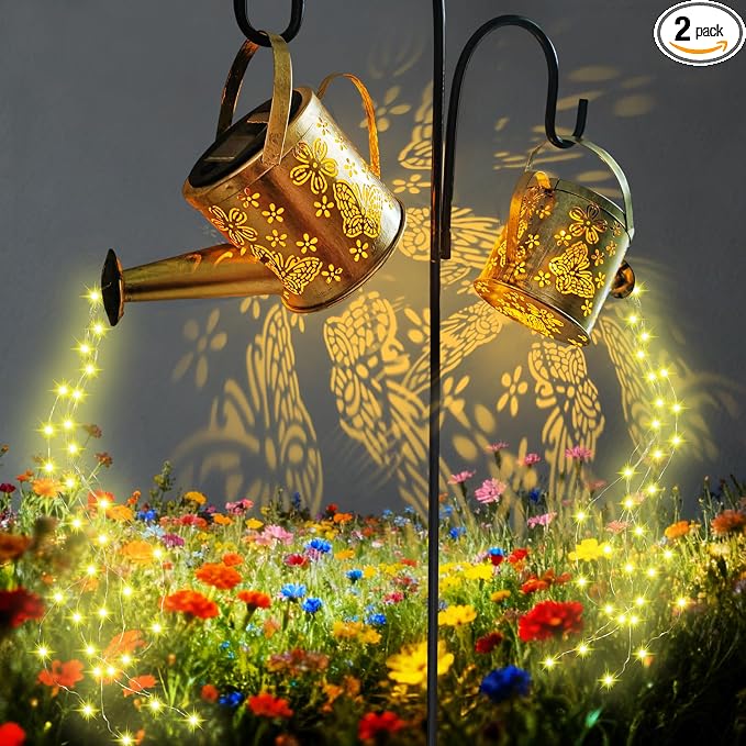 DDQ Solar Watering Can Lights, Warm White/Color LED by Unknown