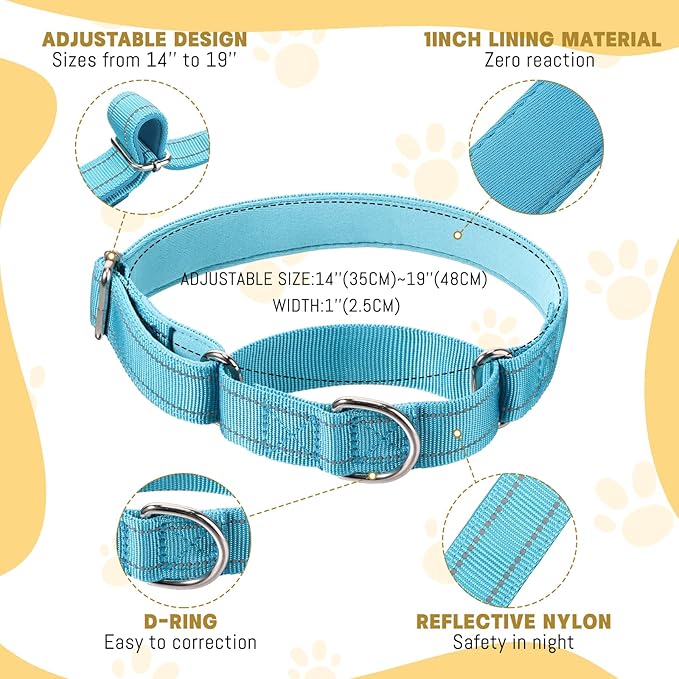 Cunno 12 Pcs Martingale Collar for Medium Dogs Reflective Dog Collar - Image 2