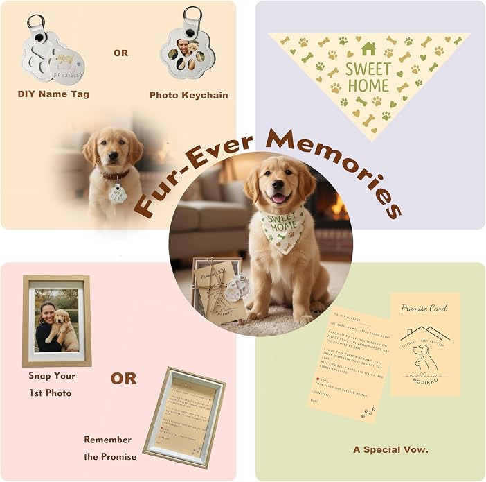 Sweet Home Pet Welcome Gift Box - Image 3