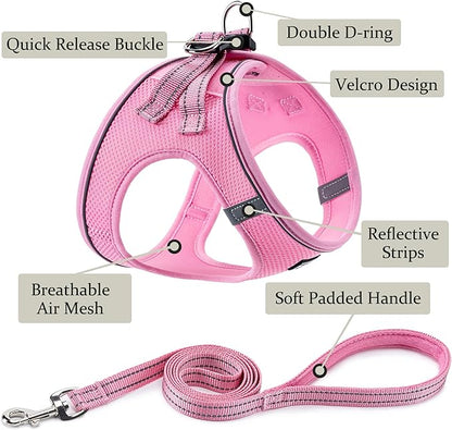 BOOMIBOO Dog Harness with Leash Set, No Pull Adjustable Reflective Step-in - Image 2