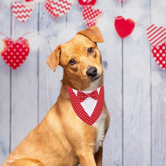 ADOGGYGO Valentine Dog Tuxedo Bandana - Image 2