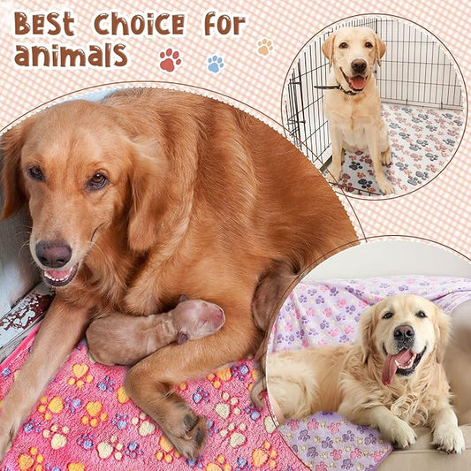 Tatuo 4 Pcs Dog Blanket for Pet Cat Blankets Indoor Puppy Teething Stuff Toys - Image 2