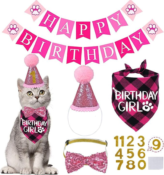 STMK Cat Birthday Decorations, Cat Birthday Hat by STMK