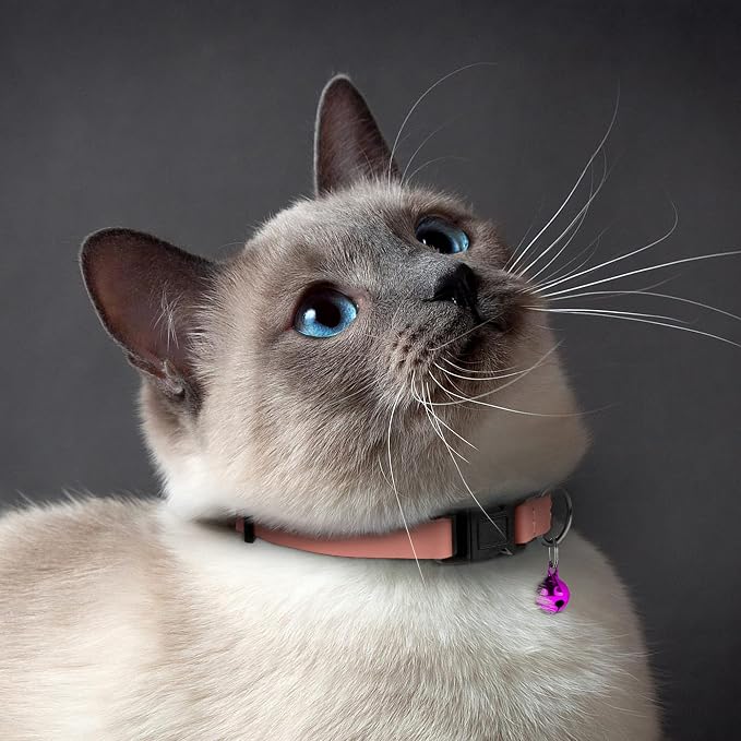 Breakaway Cat Collar with Bell - Image 6