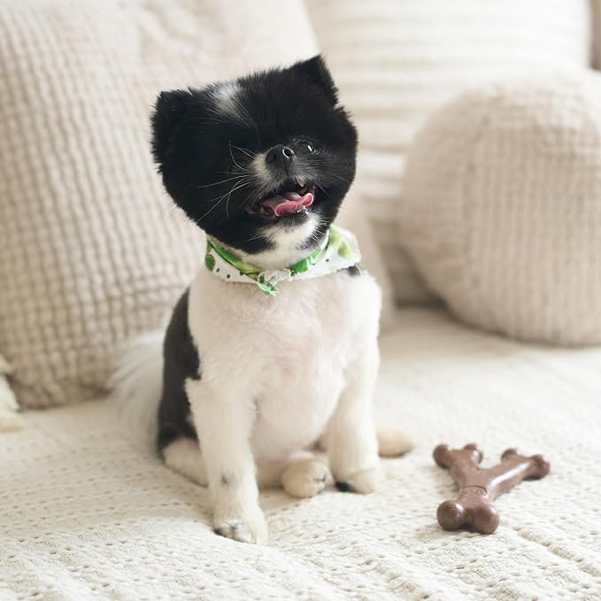 SPOT Bam-Bones Wishbone - Image 12