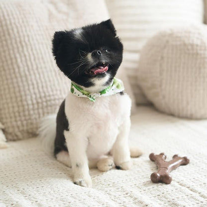 SPOT Bam-Bones Wishbone - Image 12