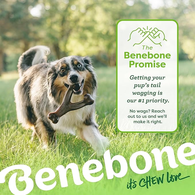 Benebone Wishbone Durable Dog Chew Toy - Image 6