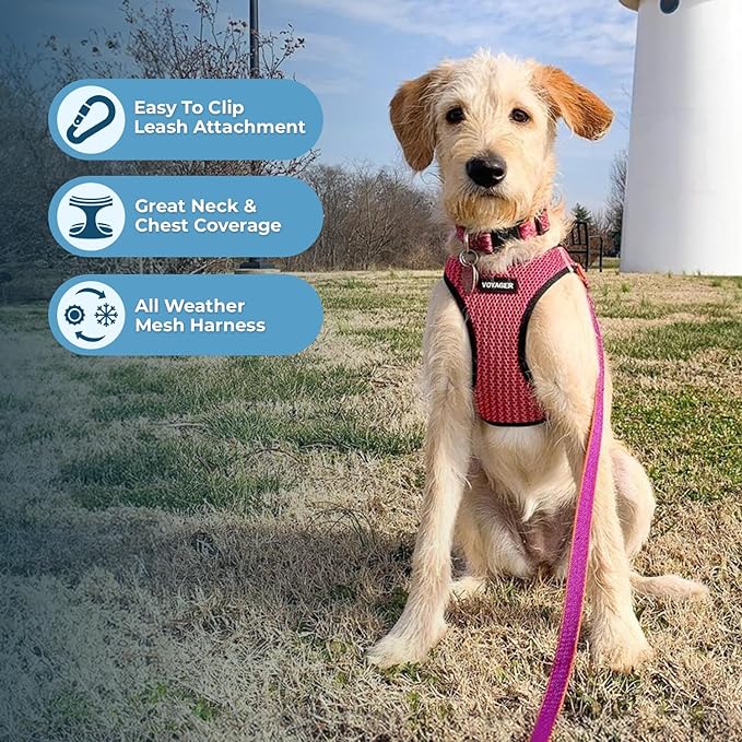 Best Pet Supplies - Image 3