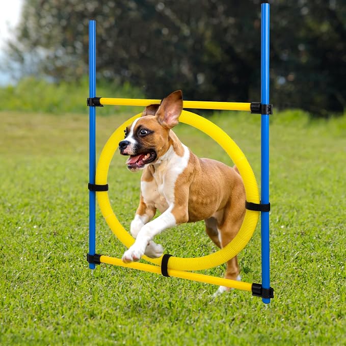 Pet Prime Dog Agility Training Equipment - Image 7