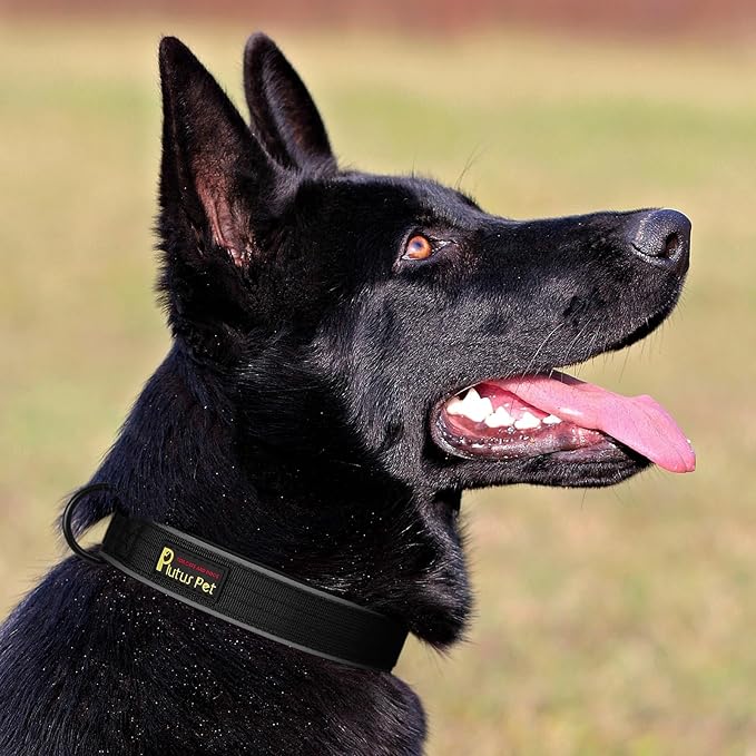 Plutus Pet Tactical Dog Collar, Reflective, Adjustable Heavy Duty Dog Collar - Image 6