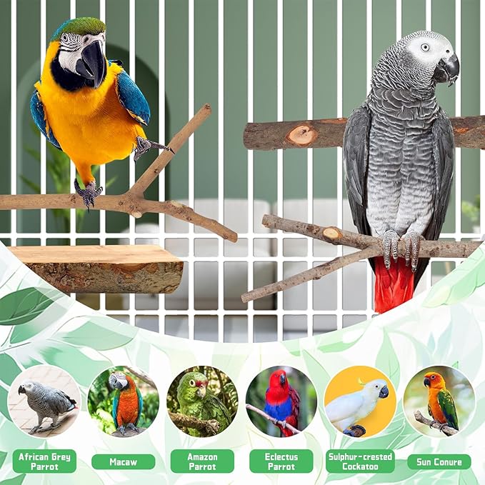 BILLIOTEAM 4-Pack Natural Wood Bird Perch Stand - Image 7