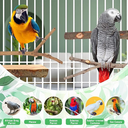BILLIOTEAM 4-Pack Natural Wood Bird Perch Stand - Image 7
