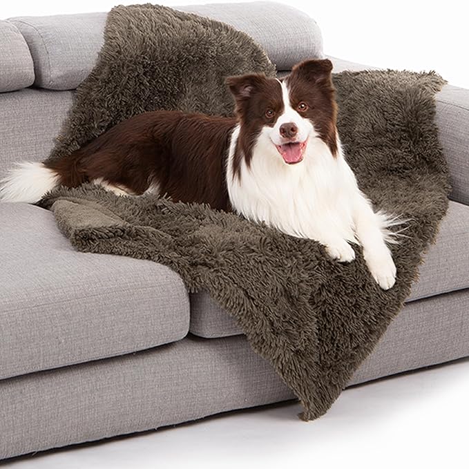 gogobunny Waterproof Dog Blanket by gogobunny
