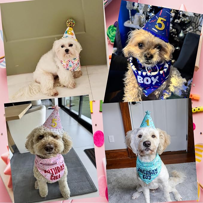 Dog Birthday Bandana Set, Light Blue Birthday Boy Decorations, HBD Party - Image 6
