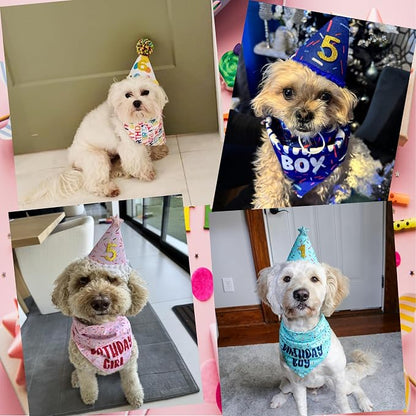 Dog Birthday Bandana Set, Light Blue Birthday Boy Decorations, HBD Party - Image 6