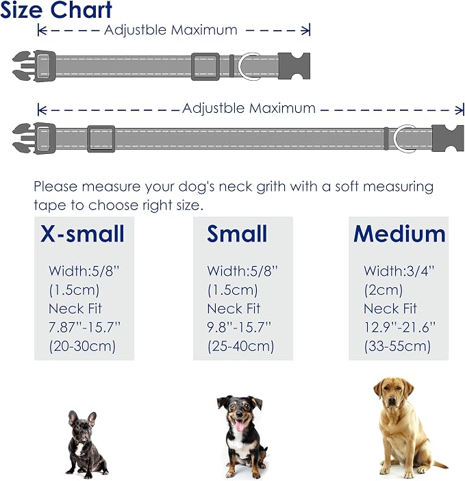Cute Dog Collar Rainbow Pattern - Image 2
