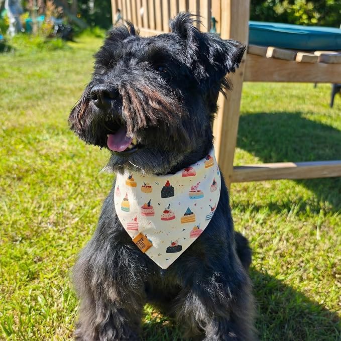 Birthday Dog Bandanas Medium Large, Colorful Cakes Stripes, Reversible Soft - Image 3