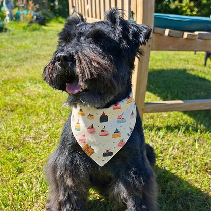 Birthday Dog Bandanas Medium Large, Colorful Cakes Stripes, Reversible Soft - Image 3