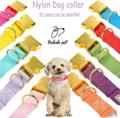 Nylon Dog Collar - Image 7