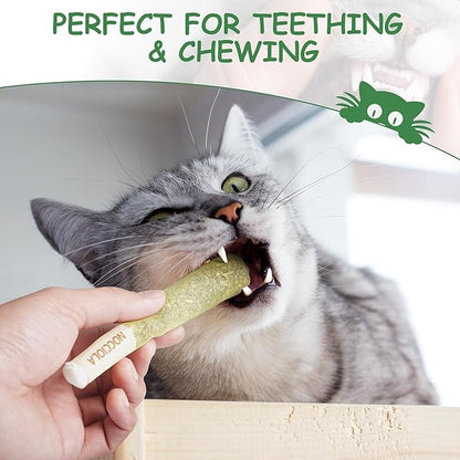 Nocciola 3 Pack Catnip Toys for Cats, Funny Cat Toys Filled - Image 5