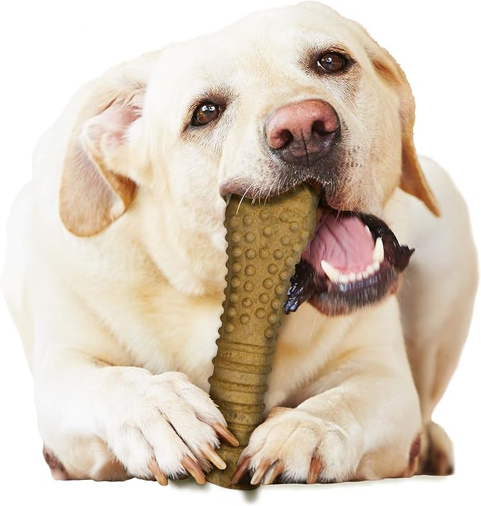 Nylabone Healthy Edibles Natural Dog Chews, Long Lasting Bones - Image 10
