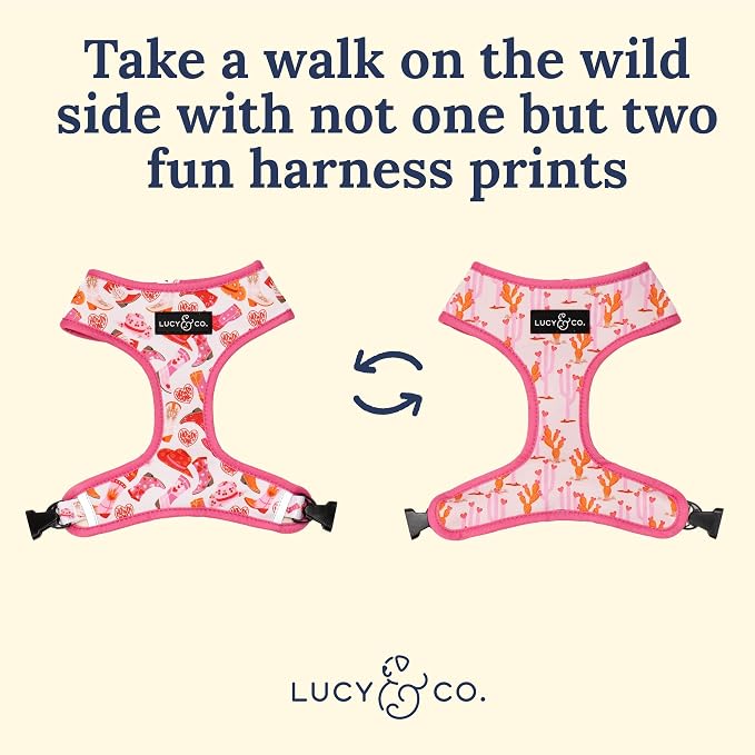 Lucy & Co. Cute Reversible Dog Harness Walking Halter - Image 7
